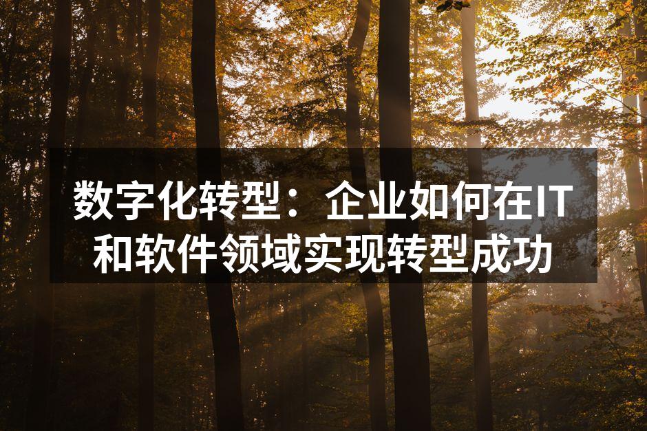 数字化转型：企业如何在IT和软件领域实现